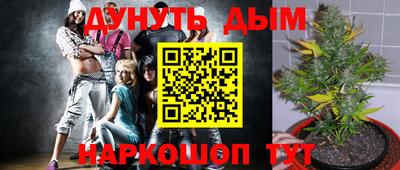 ПСИЛОЦИБИНОВЫЕ ГРИБЫ Татарск