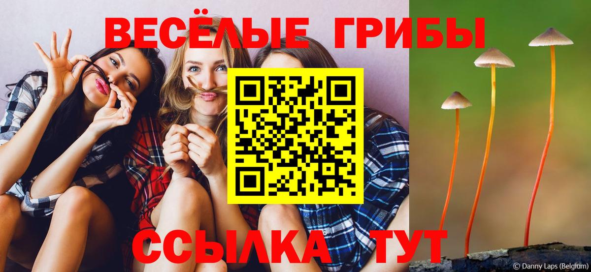 Псилоцибиновые грибы Psilocybine cubensis Борисоглебск