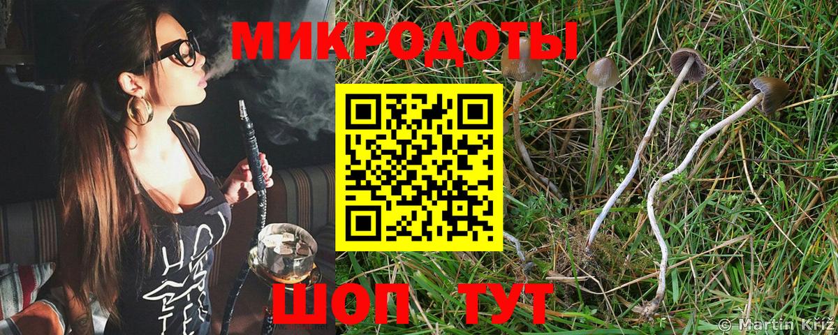 Галлюциногенные грибы Psilocybe  Вход с VPN  наркошоп  Псилоцибиновые грибы ЛСД  Борисоглебск 